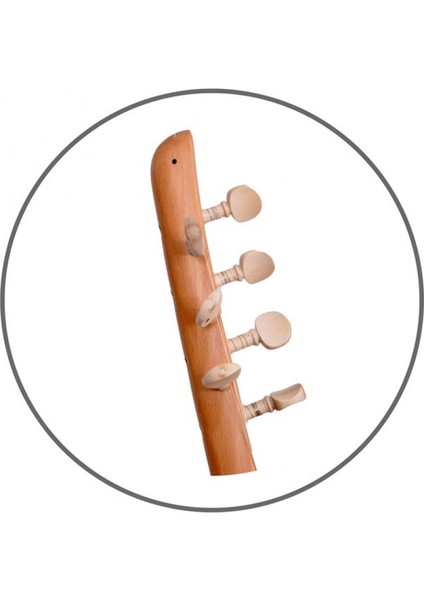 Bağlama Saz Burgusu Akgürgen Ağacı (Takım)