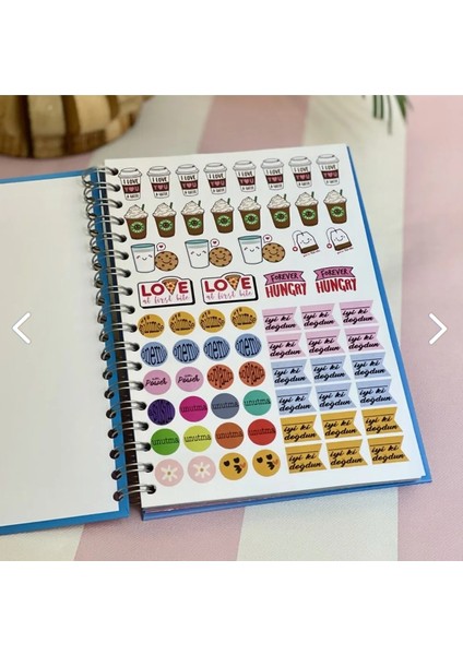 My Planner Tasarımlı Konuşan Ajanda Akademik Ajanda Yıllık Planlayıcı Myplanner modelleri