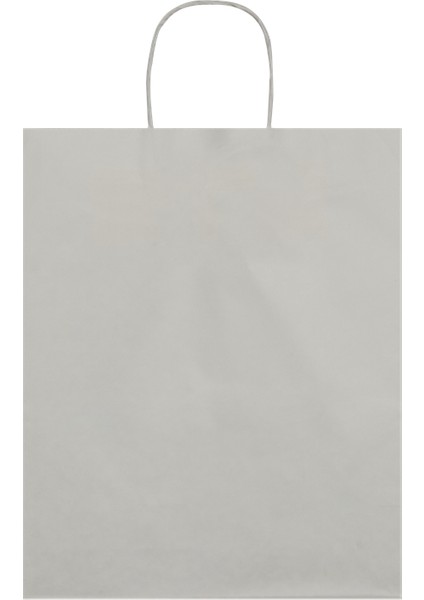 25x12x31-25 Adet Burgu Saplı Beyaz Kraft Çanta