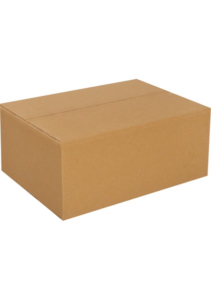 30x25x12-100 Adet Tek Oluklu Taşıma Kolisi