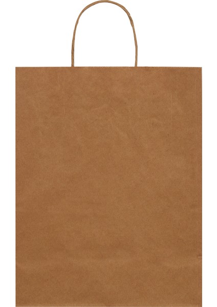 20x10x22-100 Adet Burgu Saplı Kraft Çanta