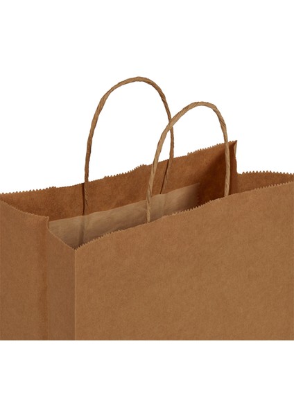 20x10x22-100 Adet Burgu Saplı Kraft Çanta