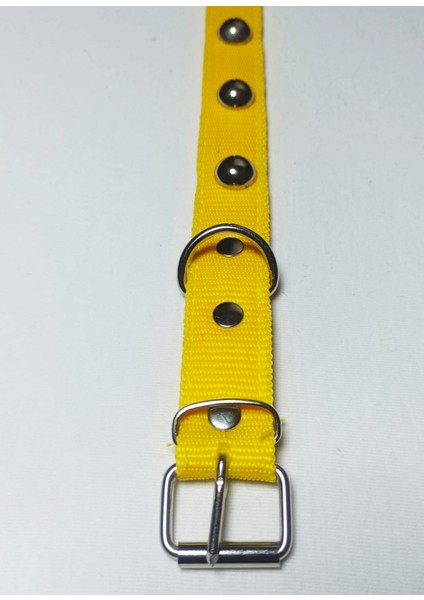 Incitop Köpek Tasması 60 x 3 cm fiyatları