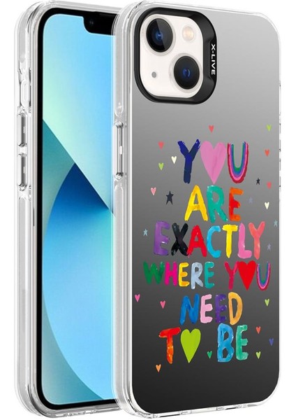 Apple iPhone 13 Kılıf Desenli Silver Sert Kapak