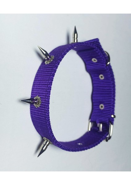 Çivili Köpek Tasması 60X3 cm