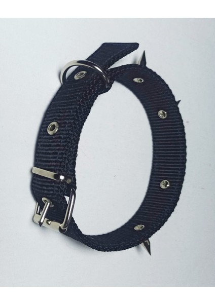 Çivili Köpek Tasması 60X3 cm modelleri