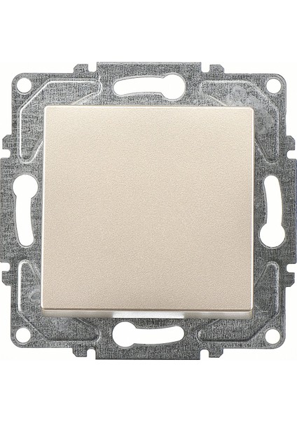 Eqona Metalik Bej Anahtar Mekanizma