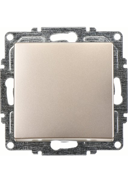 Visage Metalik Bej Anahtar Mekanizma