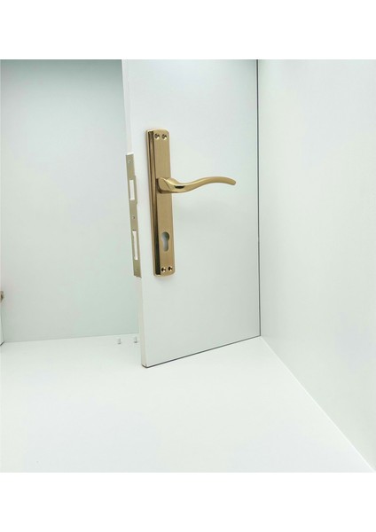 Özen Trim Titanyum Lüx Aynalı Yale Çelik Kapı Kolu 1 Takım modelleri