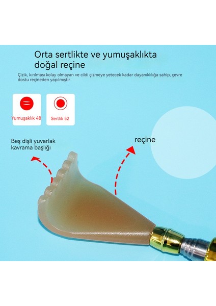 Paslanmaz Çelik Geri Çekilebilir Taşınabilir Kaşıntılı Masaj Aleti (Yurt Dışından)