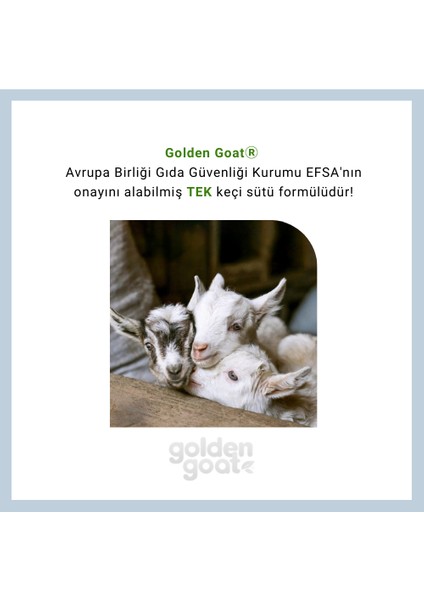 Golden Goat Keçi Devam Sütü 2 Numara 400 gr 12'li Paket