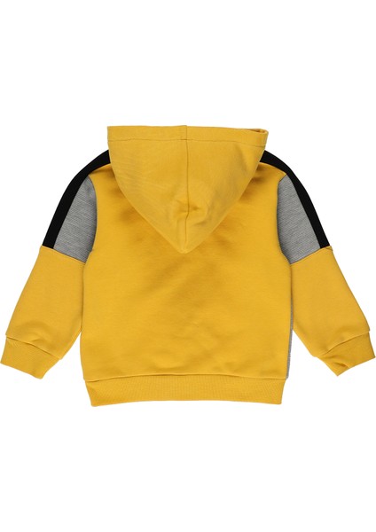 Erkek Bebek Renkli Sweatshirt fiyatları