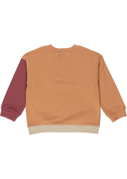 Renkli Sweatshirt