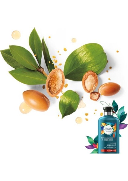 Argan Oil Of Morocco Yağı 400 Ml Şampuan