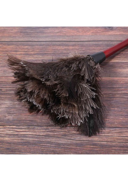 [gui Xulian]3x Devekuşu Temizleme Tüyü Silgi Devekuşu Silgi Devekuşu Tüyü Silgi Yumuşak Tüyler Silgi Mobilyadan Fan'a (Yurt Dışından) fırsatları