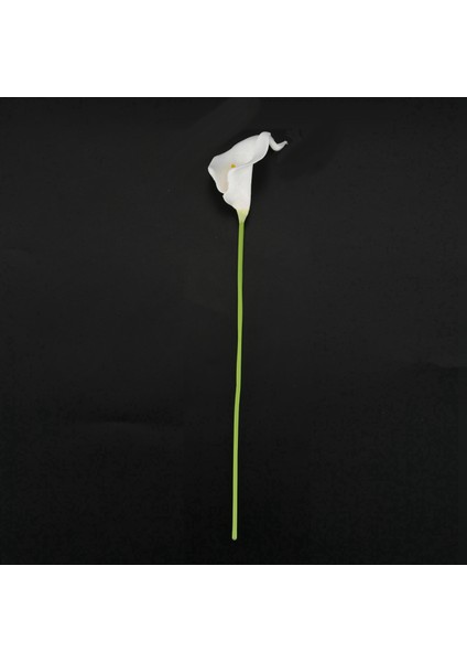 【gui Xulian】 Calla Lily 20 Kafa Lateks Gerçek Dokunmatik KC51 Beyaz (Yurt Dışından)