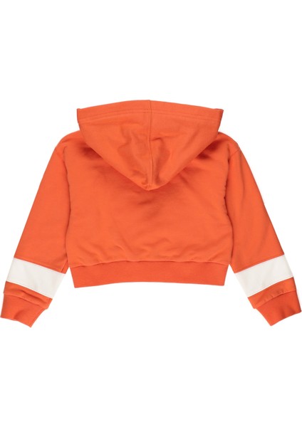 Kız Çocuk Fermuarlı Sweatshirt fiyatları