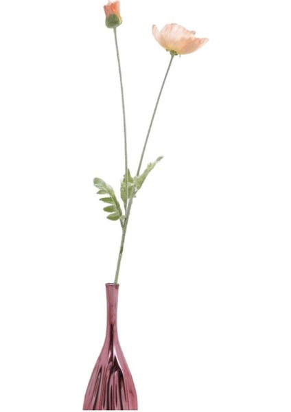 Büyük Pembe Gelincik HANGHUI-009 fiyatları