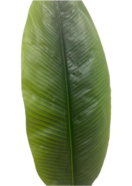 Dekoratif, Yapay Starliçe Ağacı Yaprağı 115 cm Yeşil Kahverengi Renk modelleri