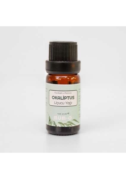 Okaliptus Uçucu Yağı (10 Ml)