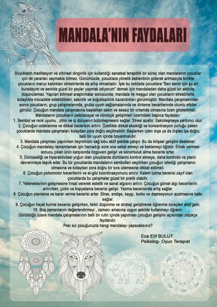 Baykuş Mandala Boyama Seti indirimleri