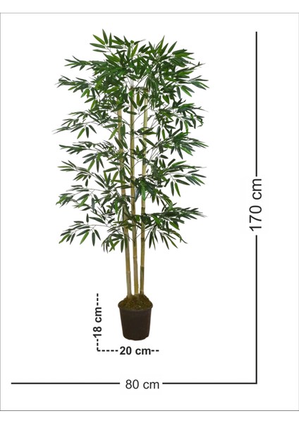 Bambu (Feshka) Yapay Ağaç 3 Gövde 170CM, Saksılı fırsatları