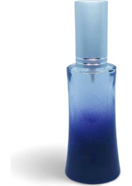Boş Parfüm Şişesi 100 ml (5 Adet) Gri Kapak Metal Valf Eyfel Boş Şişe