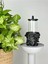 Medusa Bioethanol Masaüstü Şömine 4