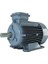 Motor V2SS 100 L2A 3 Kw 3000 D 220 V Monofaze Elektrik Motoru 1
