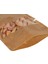 13x22,5x3,5 Cm-3000 Adet Kraft Dar Pencereli Doypack 3