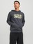 Jack & Jones Jcodust Sweat Hood Sn 4