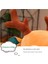 38CM Karikatür Noel Elk Bebek Peluş Oyuncak (Yurt Dışından) 2