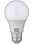 Ekola-9 10'lu Paket LED Ampul 1