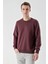 Erkek Mürdüm Basic Bisiklet Yaka Sweat-Shirt 3