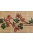 Milas Eskitme Vintage Halı 140 x 266 cm 10220 3