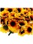 [gui Xulian] 200 Adet Yapay Ayçiçeği Küçük Papatya Gerbera Çiçek Başları Düğün Dekor Için (Sarı ve Kahve) (Yurt Dışından) 5