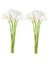 【gui Xulian】 Calla Lily 20 Kafa Lateks Gerçek Dokunmatik KC51 Beyaz (Yurt Dışından) 1