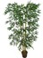 Bambu (Feshka) Yapay Ağaç 3 Gövde 170CM, Saksılı 1