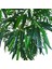 Bambu (Feshka) Yapay Ağaç 3 Gövde 170CM, Saksılı 5