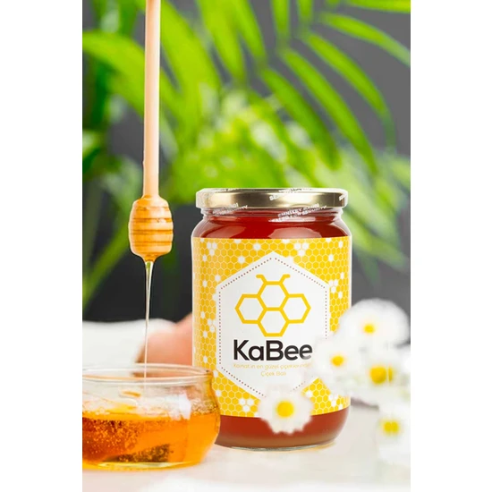 Kainat Organik Kainat Arıcılık Kabee Çiçek Balı (Katkısız) Cam Net 950GR K2009