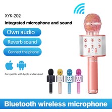 Aybastılı Bluetooth Karaoke Mikrofon