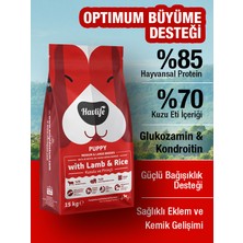 Havlife Kuzulu ve Pirinçli Orta ve Büyük Irk Yavru Köpek Maması 15KG