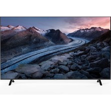 Axen AX65FMN503 65'' 165 Ekran Uydu Alıcılı 4K Ultra HD Smart LED TV