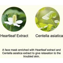 Hanskin 5'li Heartleaf İntense Calming Ampoule Mask - Heartleaf Özlü Yoğun Sakinleştirici Ampul Maske 23 ml