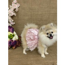 Maria Pet Fashion Köpek Kedi Kıyafeti Elbisesi Abiye