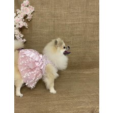 Maria Pet Fashion Köpek Kedi Kıyafeti Elbisesi Abiye