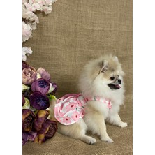 Maria Pet Fashion Köpek Kedi Kıyafeti Elbisesi