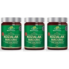 Dr. Natural Çam Kozalağı Macun Kozalak Macunu 240 Gr. ( 3 Adet )