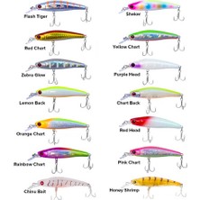 Ryuji Bubble Bait 8cm 12gr Maket Yem