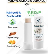 Berralina Doğal Bakım Ürünleri Kuru ve Çatlamış Dudaklar İçin Balm